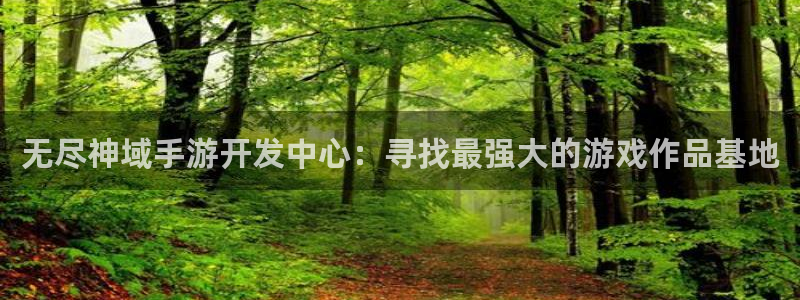 三牛娱乐测速系统官网：无尽神域手游开发中心：寻找最强大的游戏