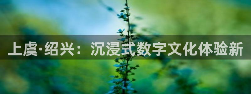 三牛娱乐登录：上虞·绍兴：沉浸式数字文化体验新