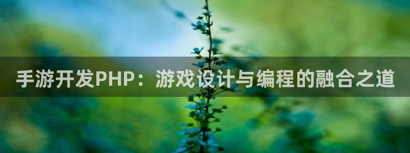 三牛娱乐测速系统：手游开发PHP：游戏设计与编程的融合之道
