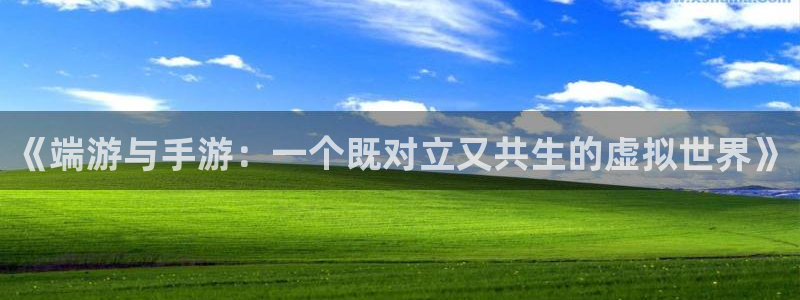 三牛娱乐官网登录入口下载手机版：《端游与手游：一个既对立又共