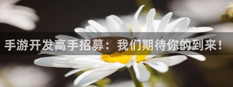 三牛娱乐官网登录入口下载苹果：手游开发高手招募：我们期待你的