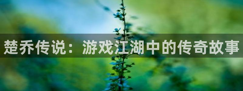 三牛娱乐哪里去了：楚乔传说：游戏江湖中的传奇故事