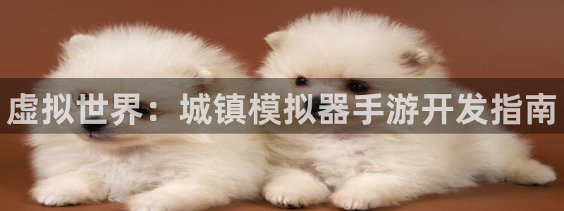 三牛娱乐是网络诈骗平台吗知乎：虚拟世界：城镇模拟器手游开发指