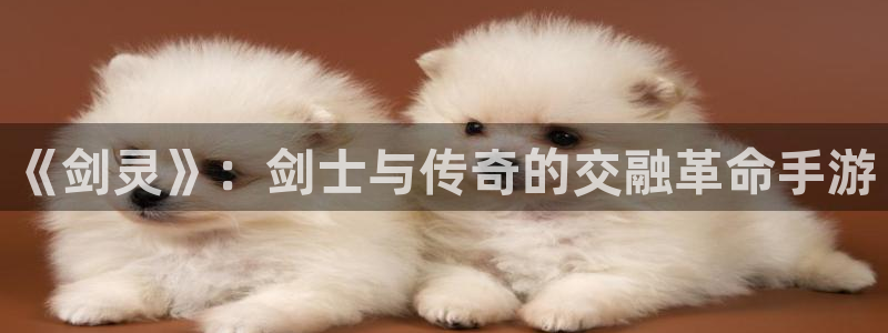 三牛娱乐管网怎么样