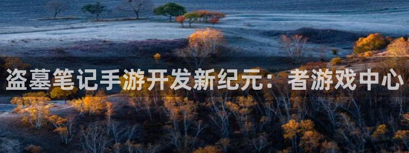 三牛娱乐哪里去了：盗墓笔记手游开发新纪元：者游戏中心