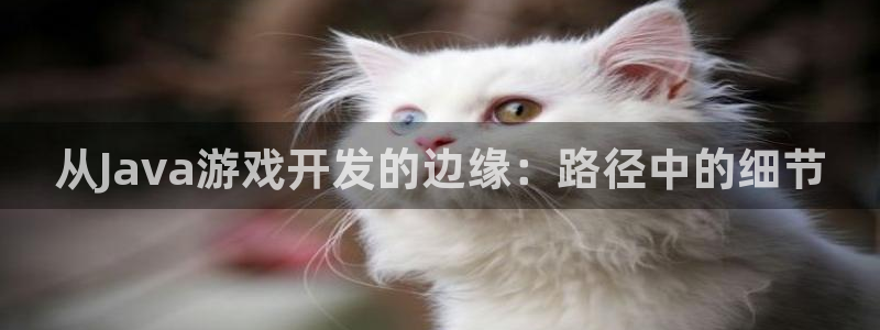 三牛娱乐是网络诈骗平台吗知乎：从Java游戏开发的边缘：路径