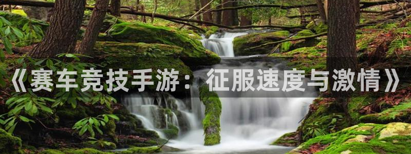 三牛公司：《赛车竞技手游：征服速度与激情》
