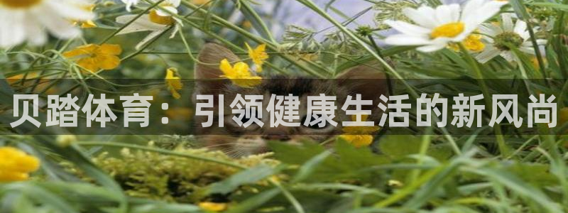oety欧亿