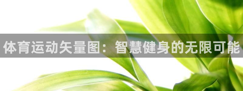 oety欧亿