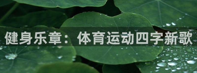 oety欧亿