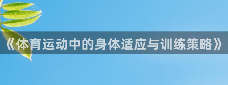 oety欧亿